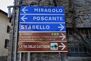 16 Passato il Ponte Vecchio prendo il sentiero per la 'Via delle castagne'